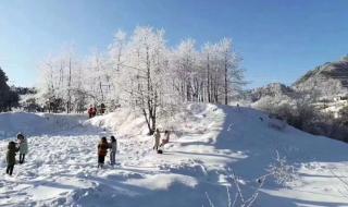 忽然下的一场雪是什么歌曲 忽然下了一场雪